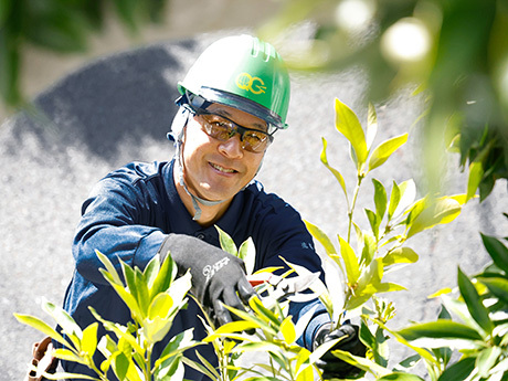 植木カットデザイナー