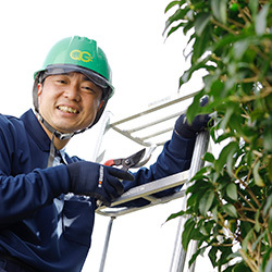 植木に縁もゆかりもない自分が初挑戦!