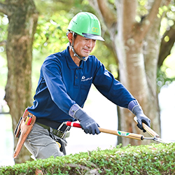 趣味だった庭木の手入れが「天職」に。