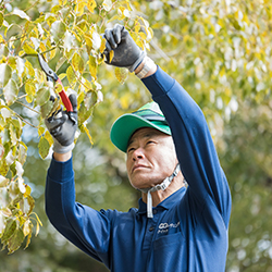 FMラジオから流れたCMが転機に。