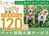 天国への扉/カーチェンジA1株式会社