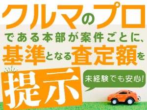 市場規模拡大と売買単価の上昇で安定!車に関する知識は一切不要!