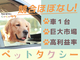 ペットタクシーcocoタク／カーチェンジA1株式会社