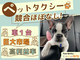 ペットタクシーcocoタク／カーチェンジA1株式会社