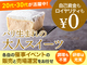 有限会社ドゥパリ／フレフレボン、ガスパール