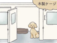 ケージを使用したホテル運営はしていません。広めの「お部屋」でお預かりしています。