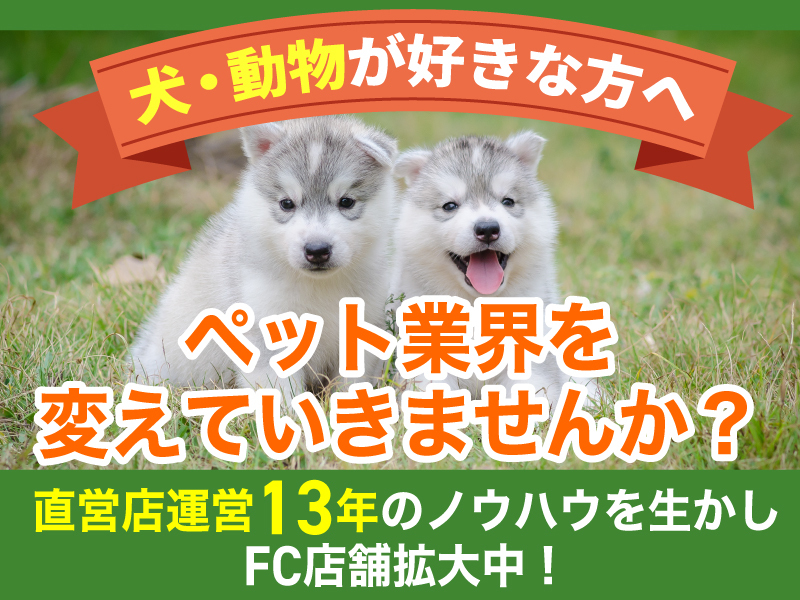 I’s Dog（アイズドッグ）／株式会社I Oneのフランチャイズ・独立開業