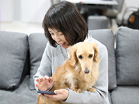 ペットの癒やしを仕事に。未経験でも安心して始められる、在庫不要の安定事業です。