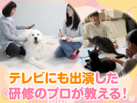 【安心の研修】テレビにも出演した研修のプロがお世話の仕方を教えます！